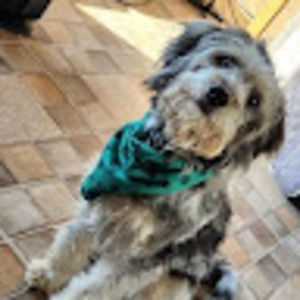 Meet your Posher, Gail